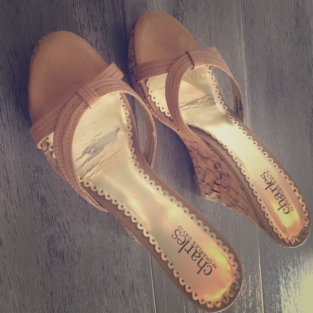 Charles David Cork wedges